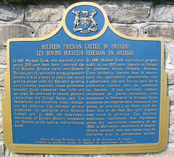Plaque