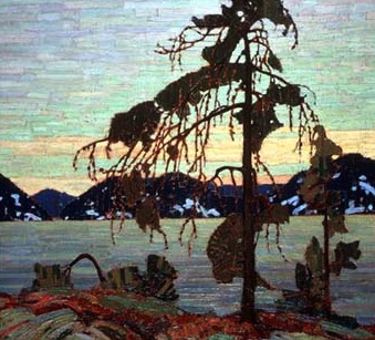 Jack Pine