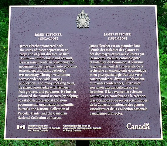 Plaque Photo